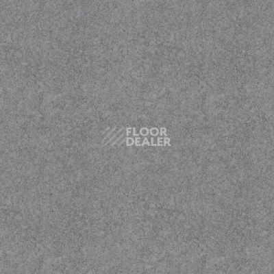 Линолеум Tarkett iq Megalit DARKGREY 0602 фото 1 | FLOORDEALER